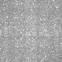 DATA_RNDM