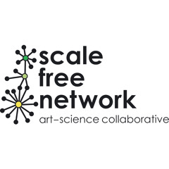 Scale Free Network