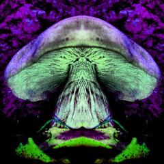 eareonze Zeno Reveal