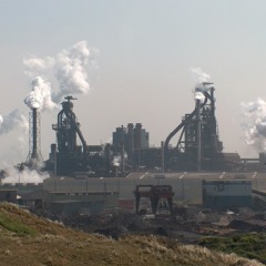 Dominique Vos