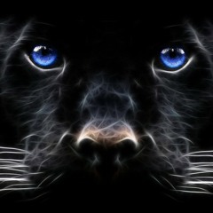 !!-..xXWladimiR..Xx-!!