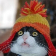 mssingno