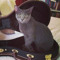 Godric Threelegs