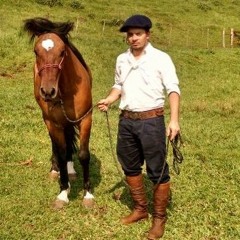 Marcelo M Maciel