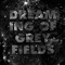 Dreaming Of Grey Fields