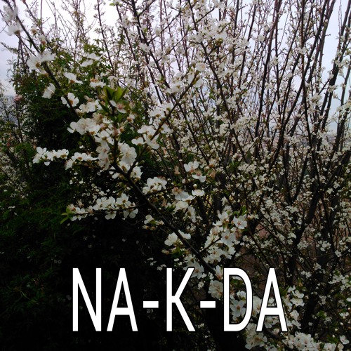 NA-K-DA’s avatar