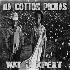 DA COTTON PICKAS