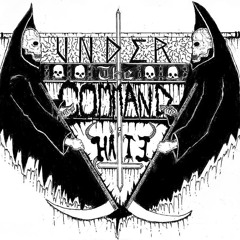 Under the Command of Hate