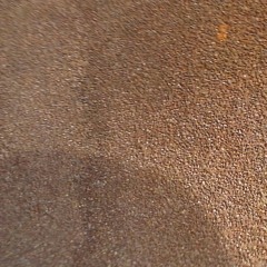 illgeal