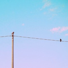 stichtingzoestichting