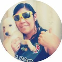 funk do cv