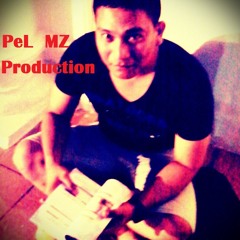 PeL MZ Production