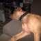 user160300792