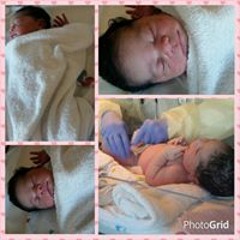 Cedrick Animated Incc