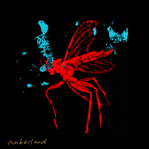 amberlandband’s avatar