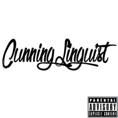 TheCunningLinguist