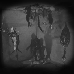 Mikael John Andersson