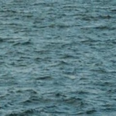 spirituální drůbež