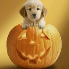 Annette Berryhill Pickett