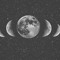 lunaluniitaa