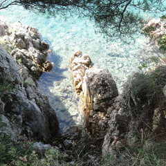 Felix Malachai York York