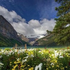 carrollshelbycarroll