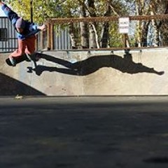 Shawn Lasse