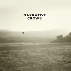Narrative Crows
