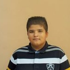 Omar Elnegm