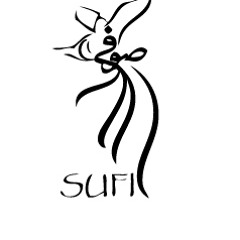 Sufi Shazly