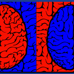 Brain1966
