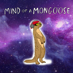 Barry The Mongoose