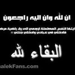 user687430196
