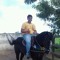 Jorge Araujo