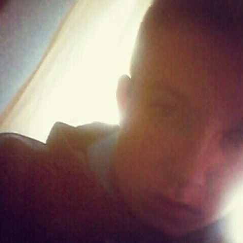 ○DONKS○