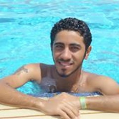 Amir A. Zakaria