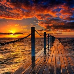 schneiderderekschneider