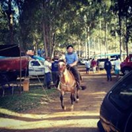 Gaúcha
