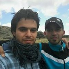 وادي الذئاب