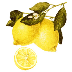 Lemon-aid