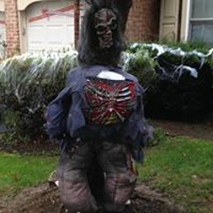 Dawn Wiechecki Pinghera