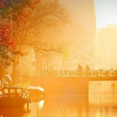 harringtoneliasharrington