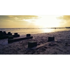 hernandezvivianhernandez