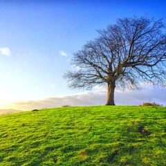 08Kuran Öğreniyorum 35 - Kunut 2 (Fatih Çollak)
