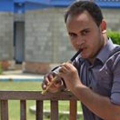 mostafa elshaboury