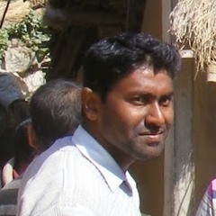 Manjur