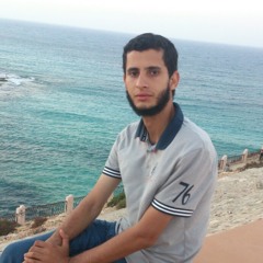 د.محمد عبدالحميد