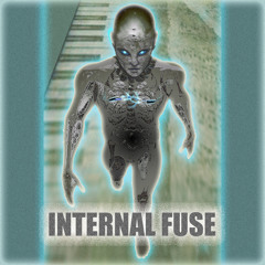 INTERNAL FUSE