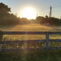 isabellasmitisabella