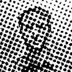 Craig Harley Johnson